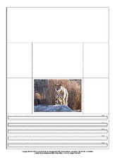 Popup-Buch-Gepard-1-6.pdf